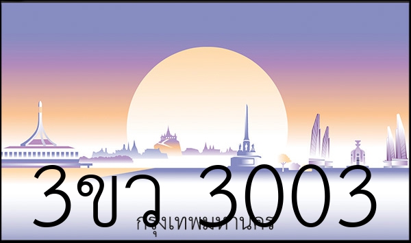 3ขว 3003